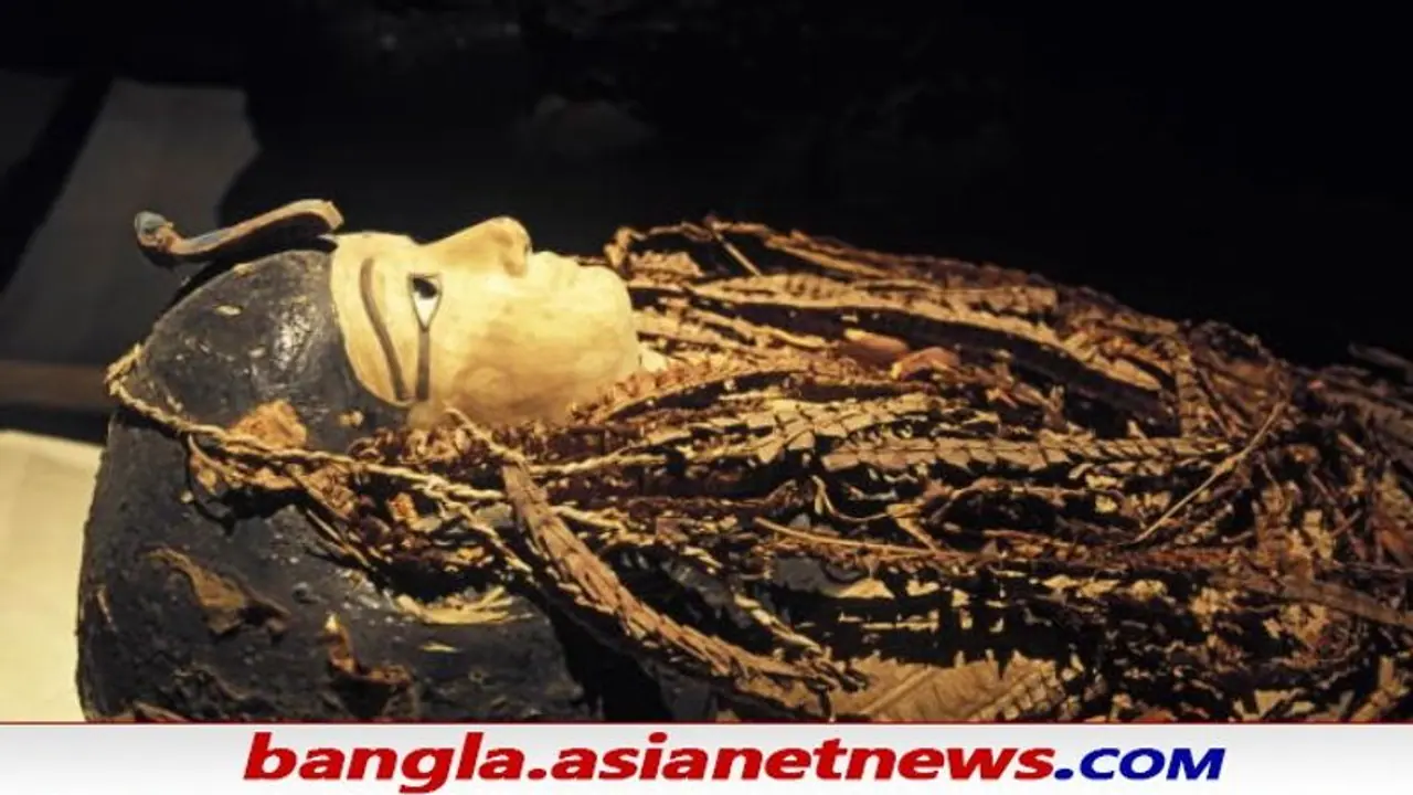 Egyptian Mummy Unwrapped: খোলা হল ৩৫০০ বছরের পুরোনো মমি, ভিতরে যা আছে দেখে অবাক মিশরীয় গবেষকরা Egyptian Mummy Unwrapped: খোলা হল ৩৫০০ বছরের পুরোনো মমি, ভিতরে যা আছে দেখে অবাক মিশরীয় গবেষকরা