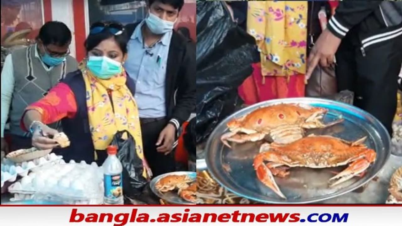 কাঁকড়া খেয়ে অসুস্থ, দিঘায় ফুড সেফটি দফতের অভিযানে সামনে এল অনেক তথ্য কাঁকড়া খেয়ে অসুস্থ, দিঘায় ফুড সেফটি দফতের অভিযানে সামনে এল অনেক তথ্য