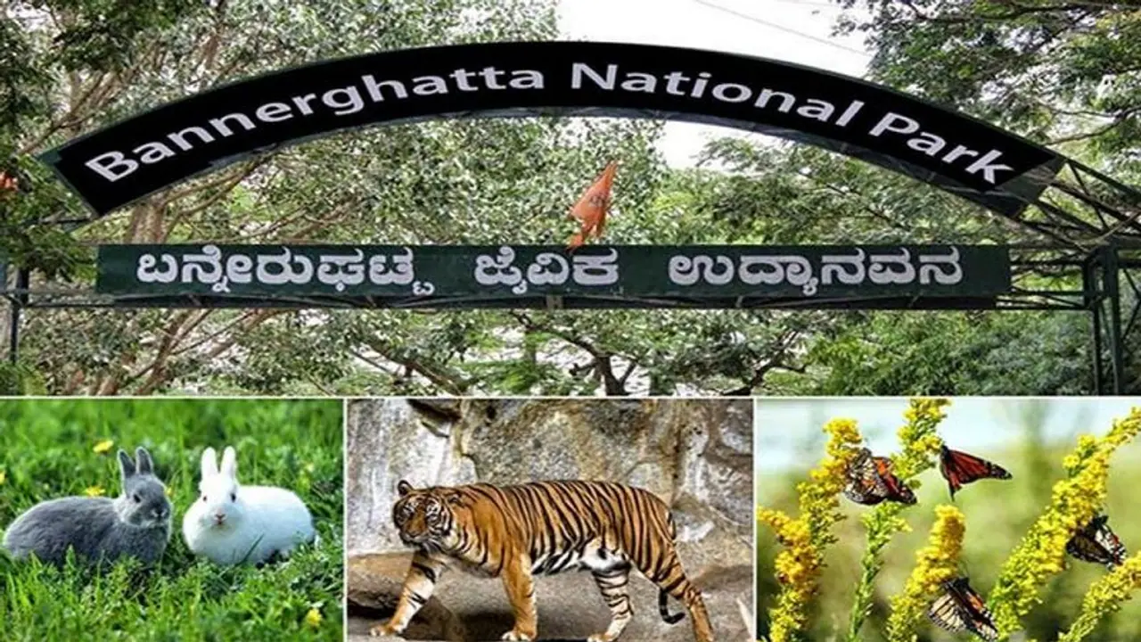 Bannerghatta Zoo ಜನವರಿ 1ರಿಂದ ಬನ್ನೇರುಘಟ್ಟ ಸಫಾರಿ ದುಬಾರಿ, ಇಲ್ಲಿದೆ ಪರಿಷ್ಕತ ದರ ಪಟ್ಟಿ Bannerghatta Zoo ಜನವರಿ 1ರಿಂದ ಬನ್ನೇರುಘಟ್ಟ ಸಫಾರಿ ದುಬಾರಿ, ಇಲ್ಲಿದೆ ಪರಿಷ್ಕತ ದರ ಪಟ್ಟಿ