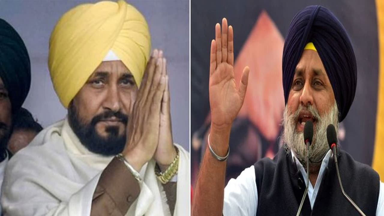 Punjab Election 2022 : सुखबीर सिंह बादल ने CM चरणजीत चन्नी पर लगाए गंभीर आरोप, कहा सत्ता में आए तो लेंगे एक्शन