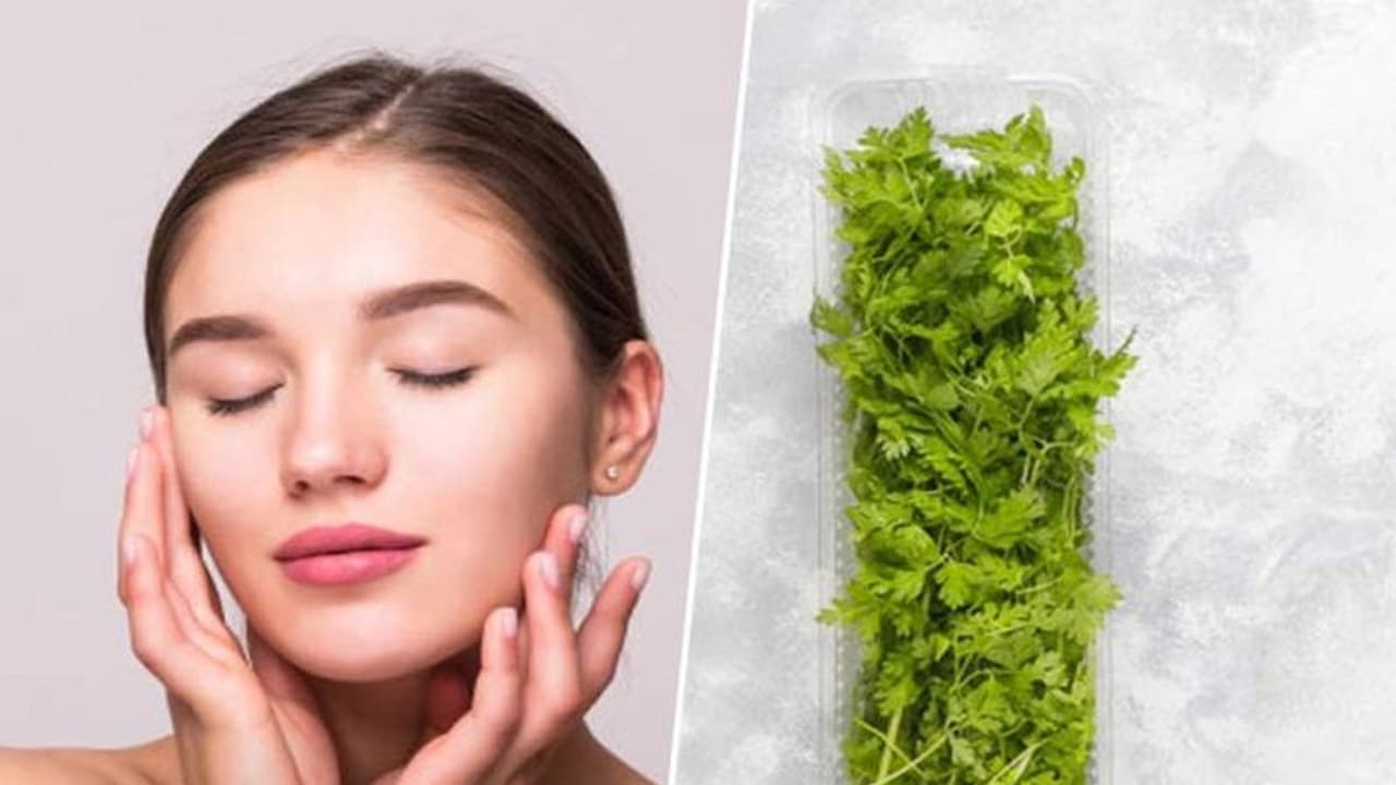 ভেষজের গুণেই বজায় থাকবে ত্বকের জেল্লা, রইল কিছু বিশেষ টিপস ভেষজের গুণেই বজায় থাকবে ত্বকের জেল্লা, রইল কিছু বিশেষ টিপস