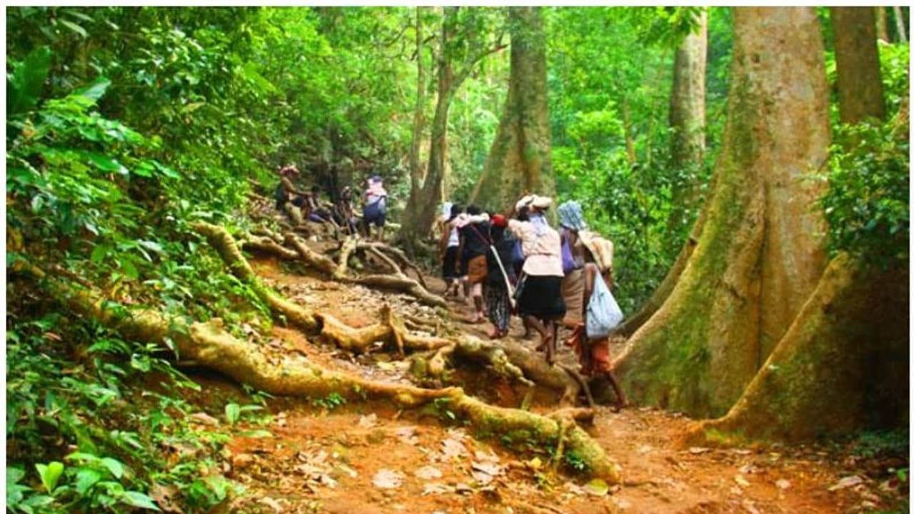 Sabarimala Pilgrimage : കരിമല പാത തീര്‍ത്ഥാടകര്‍ക്കായി തുറന്നു; യാത്ര പകല്‍ മാത്രം