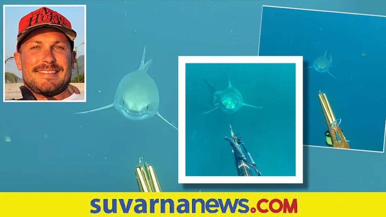 ಮೀನುಗಾರನಿಗೆ ಎದುರಾದ ಶಾರ್ಕ್‌... ಎದೆ ಝಲ್‌ ಎನಿಸುವ ವಿಡಿಯೋ