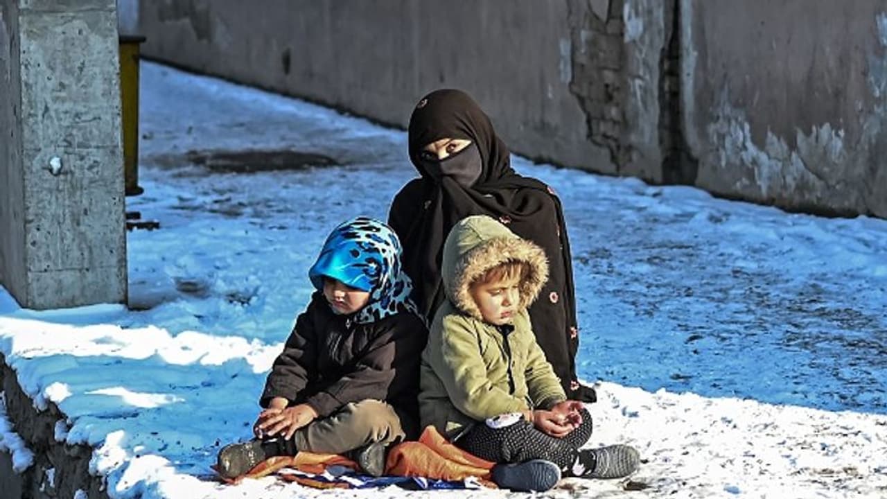 তালিবান শাসিত আফগানিস্তানের সঙ্গে 'আনুষ্ঠানিক' সম্পর্ক স্থাপন, রাষ্ট্র সংঘে ভোট দিল না রাশিয়া