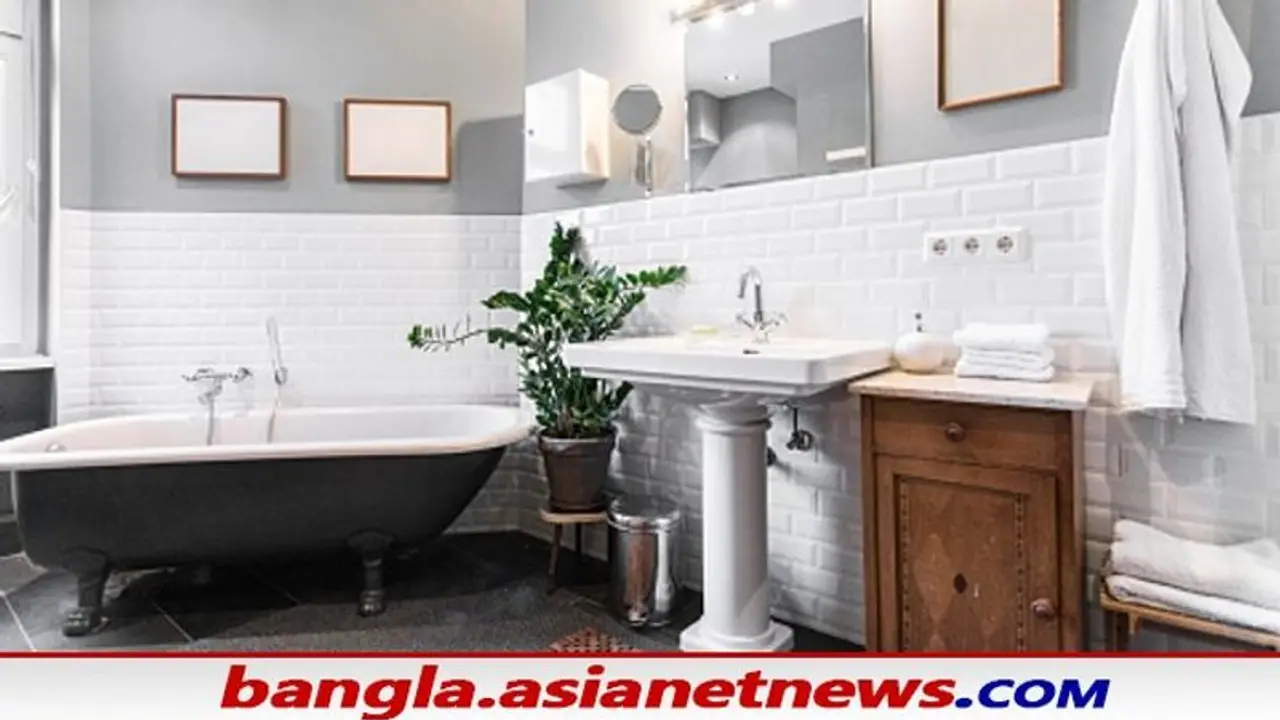 অজান্তে বাথরুমে ফেং শুই আয়না রাখেননি তো, যে কোনও সময় ঘটতে পারে বড় দুর্ঘটনা