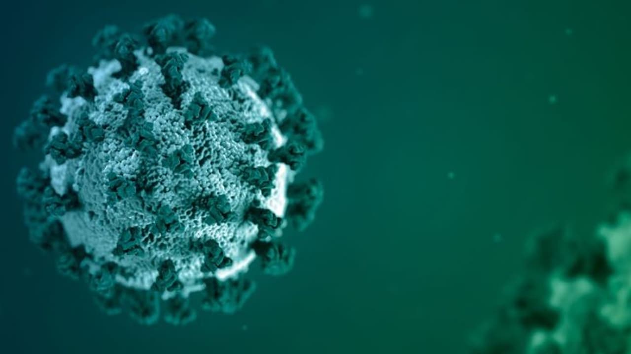 13 students test positive for COVID 19 in J&K university, campus shut 13 students test positive for COVID 19 in J&K university, campus shut