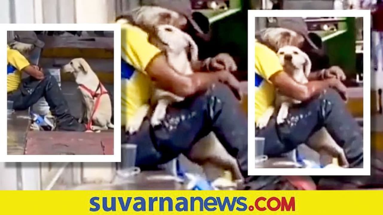 ನೀ ಅನಾಥನಲ್ಲ ನಿನಗೆ ನಾನು ನನಗೆ ನೀನು.... ನಿರ್ಗತಿಕನಿಗೆ ಜೊತೆಯಾದ ಶ್ವಾನ ನೀ ಅನಾಥನಲ್ಲ ನಿನಗೆ ನಾನು ನನಗೆ ನೀನು.... ನಿರ್ಗತಿಕನಿಗೆ ಜೊತೆಯಾದ ಶ್ವಾನ