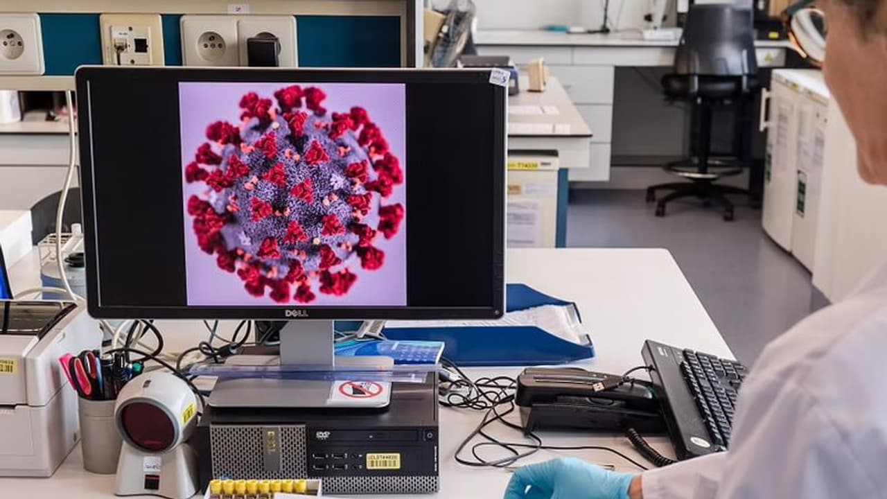 கர்ப்பிணி பெண் உடலில் உருவெடுத்த புதிய வைரஸ்... இஸ்ரேலில் உச்சகட்ட பரபரப்பு!! கர்ப்பிணி பெண் உடலில் உருவெடுத்த புதிய வைரஸ்... இஸ்ரேலில் உச்சகட்ட பரபரப்பு!!