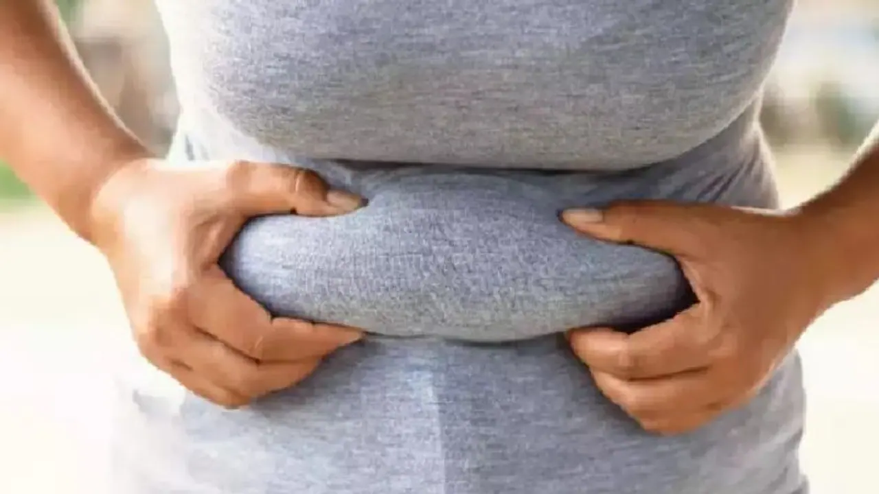 Lose Belly Fat : അടിവയറ്റിലെ കൊഴുപ്പ് അടിഞ്ഞ് കൂടുന്നത് തടയാൻ അഞ്ച് കാര്യങ്ങൾ ശ്രദ്ധിക്കൂ