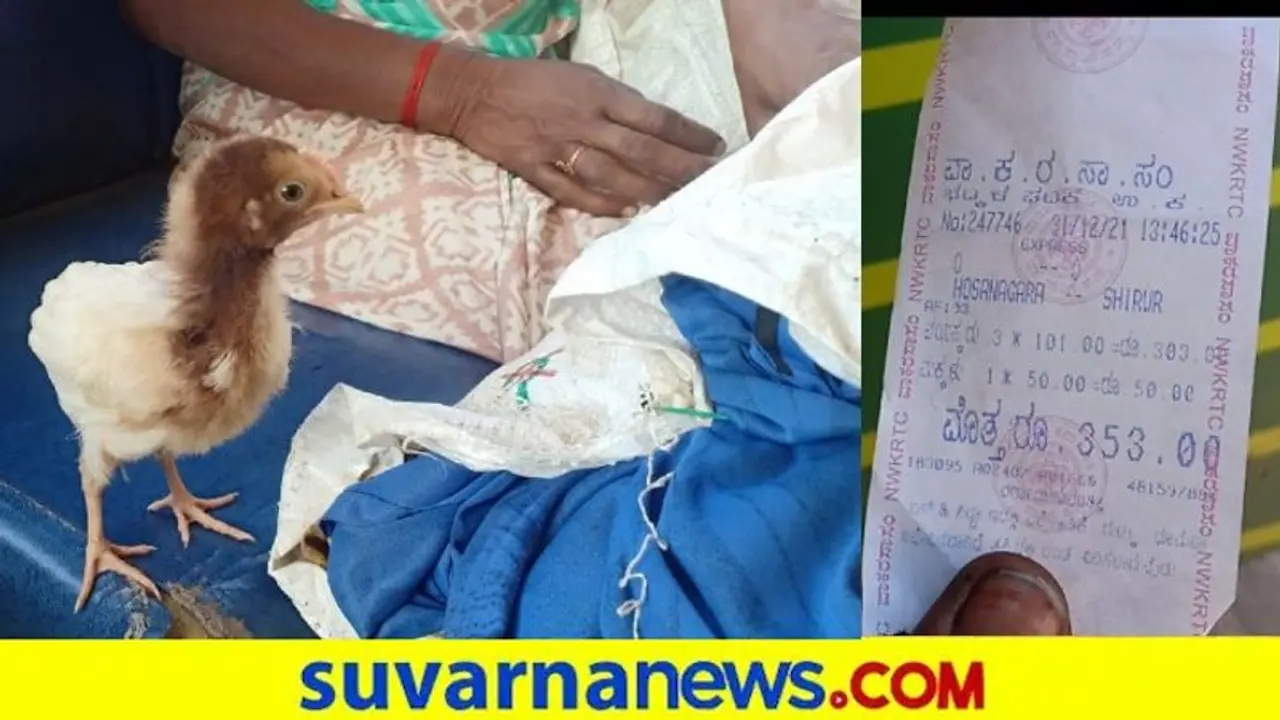 KSRTC Bus : 10 ರು. ಕೋಳಿ ಮರಿಗೆ ಬಸ್ಸಲ್ಲಿ 52 ರು. ಟಿಕೆಟ್! KSRTC Bus : 10 ರು. ಕೋಳಿ ಮರಿಗೆ ಬಸ್ಸಲ್ಲಿ 52 ರು. ಟಿಕೆಟ್!