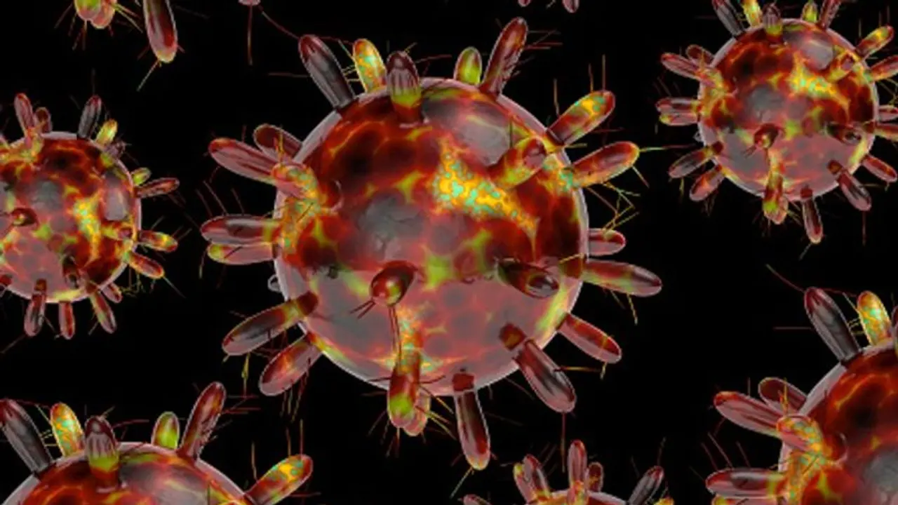 Corona Update : ಹಾಸನ, ಮಂಡ್ಯ, ತುಮಕೂರಿನಲ್ಲಿ ಹೆಚ್ಚಿದ ಕರೋನಾ ಆತಂಕ!