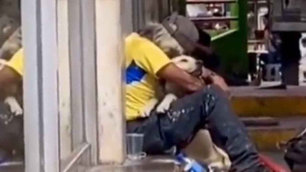 Viral Video : ആരുമില്ലാത്തവര്‍ക്ക് കാവലായി 'സ്‌നേഹം'; ഹൃദയം തൊടുന്ന വീഡിയോ