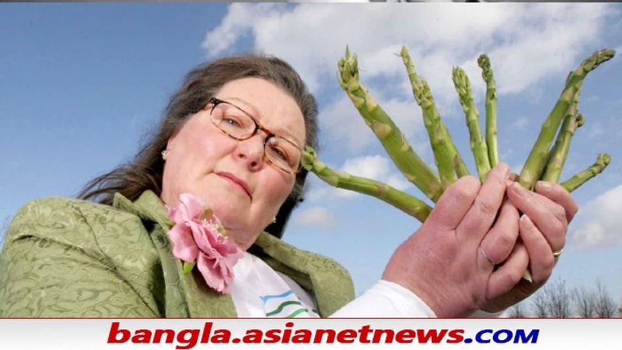 New Year 2022 Predictions: এবারও টি২০ বিশ্বকাপ জিতবে না ভারত, সোনার কাপ অধরা থাকবে মেসিরও New Year 2022 Predictions: এবারও টি২০ বিশ্বকাপ জিতবে না ভারত, সোনার কাপ অধরা থাকবে মেসিরও