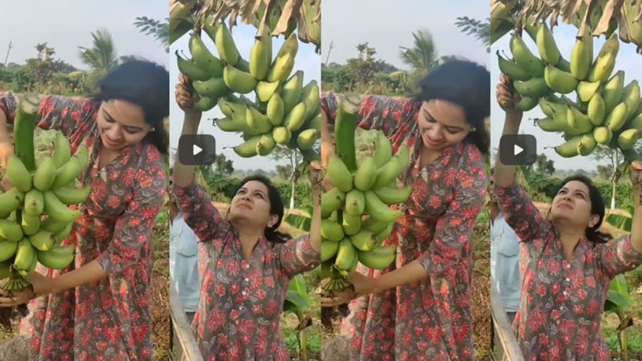 Singer Sunitha: వ్యవసాయం చేస్తున్న సింగర్ సునీత.. వీడియో వైరల్