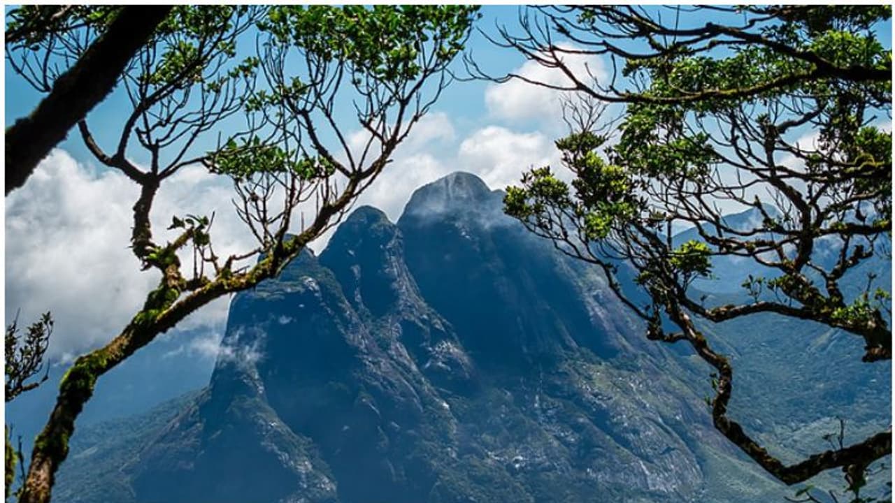 അഗസ്ത്യാർകൂടത്തേക്കൊരു സ്വപ്ന സഞ്ചാരം; 44 ദിവസം അവസരം, ബുക്കിംഗ് തുടങ്ങി, അറിഞ്ഞിരിക്കേണ്ട കാര്യങ്ങളുണ്ട്