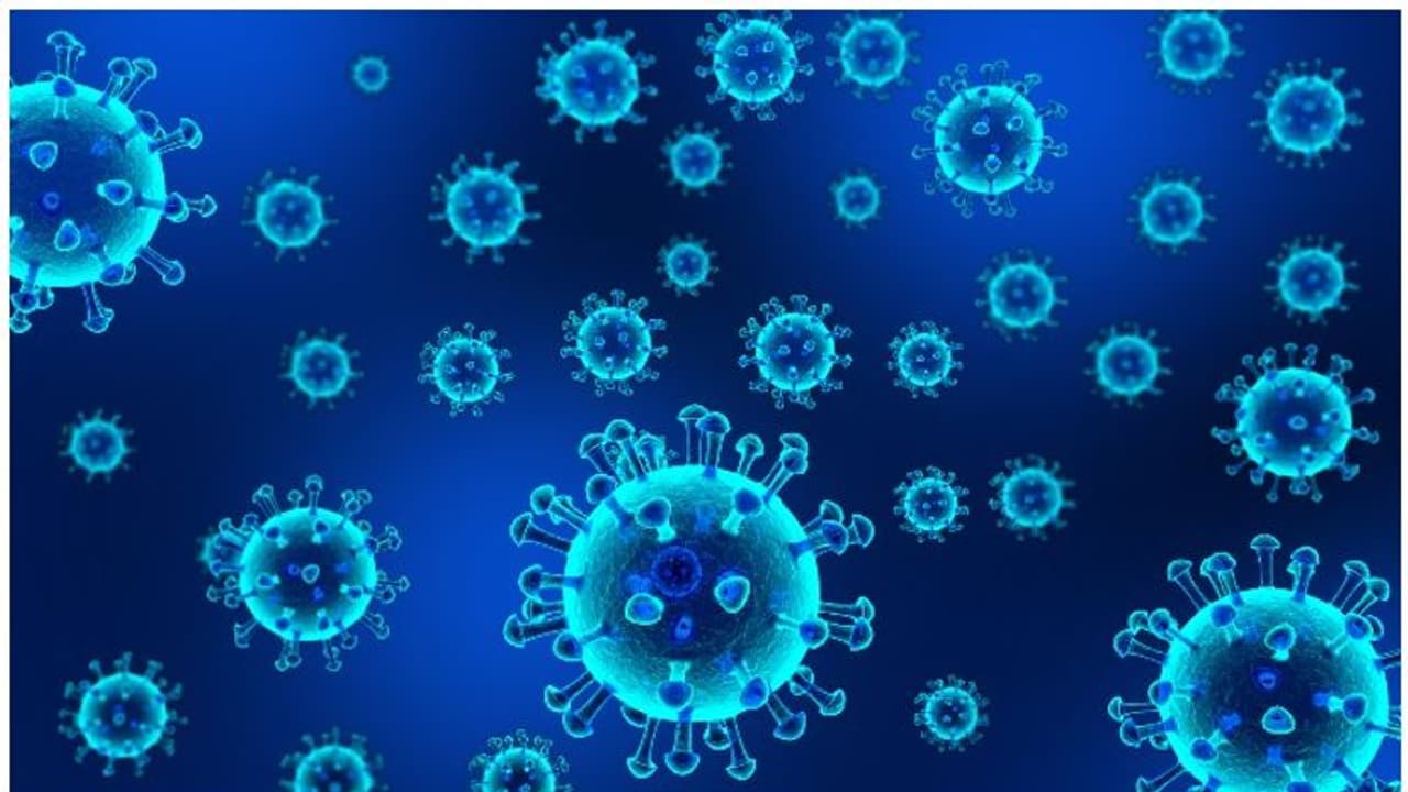 Covid Third Wave : കൊവിഡ് മൂന്നാം തരംഗം; മുന്നറിയിപ്പുമായി ആരോഗ്യ വിദഗ്ധർ Covid Third Wave : കൊവിഡ് മൂന്നാം തരംഗം; മുന്നറിയിപ്പുമായി ആരോഗ്യ വിദഗ്ധർ