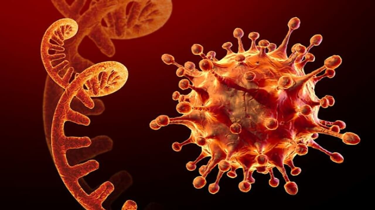 Omicron Crisis in Karnataka : ರಾಜ್ಯದಲ್ಲಿ ಒಮಿಕ್ರೋನ್‌ ಸ್ಫೋಟ : ಸೋಂಕು ಭಾರಿ ಏರಿಕೆ