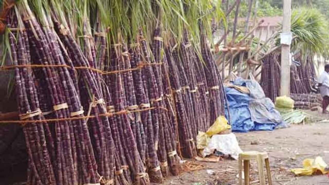 பொங்கலுக்கான கரும்பினை இவர்களிடம் இருந்து தான் கொள்முதல் செய்ய வேண்டும்... தமிழக அரசு அதிரடி உத்தரவு!!