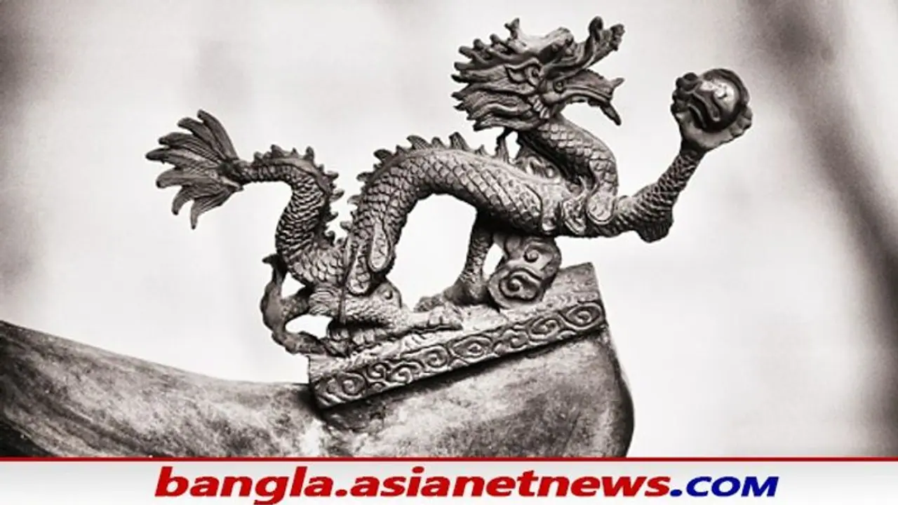 Vastu Tips for Dragon Statue: পারিবারিক শান্তি বজায় রাখতে ঘরে রাখুন ড্রাগন মূর্তি, জেনে নিন ব্স্তু মত Vastu Tips for Dragon Statue: পারিবারিক শান্তি বজায় রাখতে ঘরে রাখুন ড্রাগন মূর্তি, জেনে নিন ব্স্তু মত