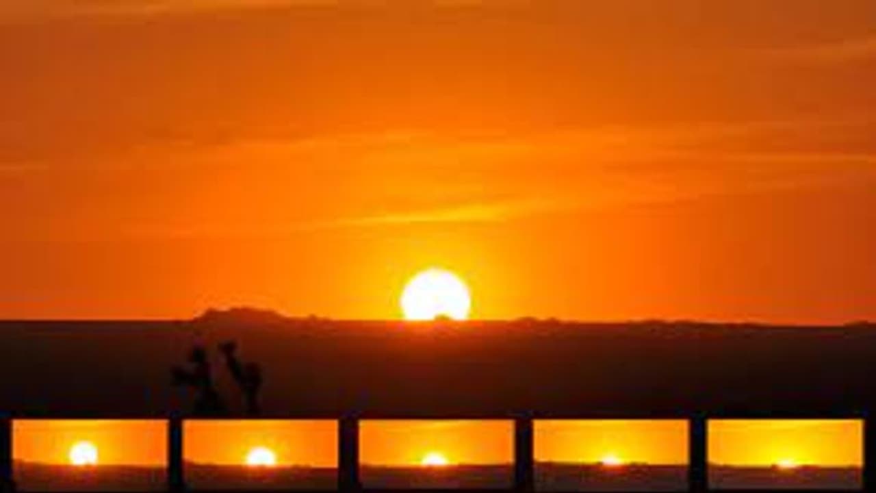 রবিবার পালন করুন এই বিশেষ টোটকা, দূর হবে আর্থিক জটিলতা থেকে পারিবারিক বিবাদ 