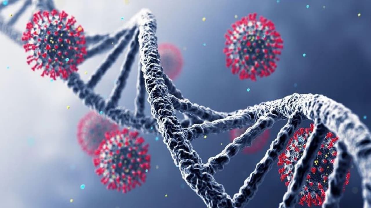 ஒமிக்ரானை தொடர்ந்து.. வந்த 'டெல்டா கிரான்'... மறுபடியும் முதல்ல இருந்தா... பீதி கிளப்பும் புது வைரஸ்