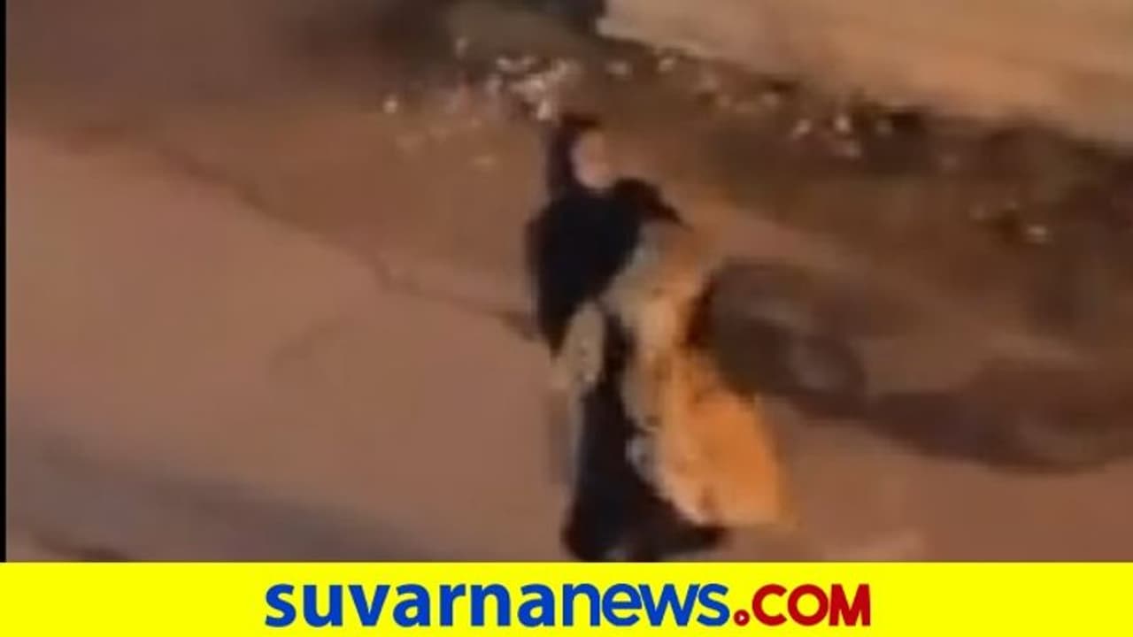 ಸಿಂಹವನ್ನು ಎತ್ತಿಕೊಂಡು ಹೋದ ಮಹಿಳೆ... ವಿಡಿಯೋ ನೋಡಿದ ನೆಟ್ಟಿಗರಿಂದ ಹಾಸ್ಯದ ಸುರಿಮಳೆ