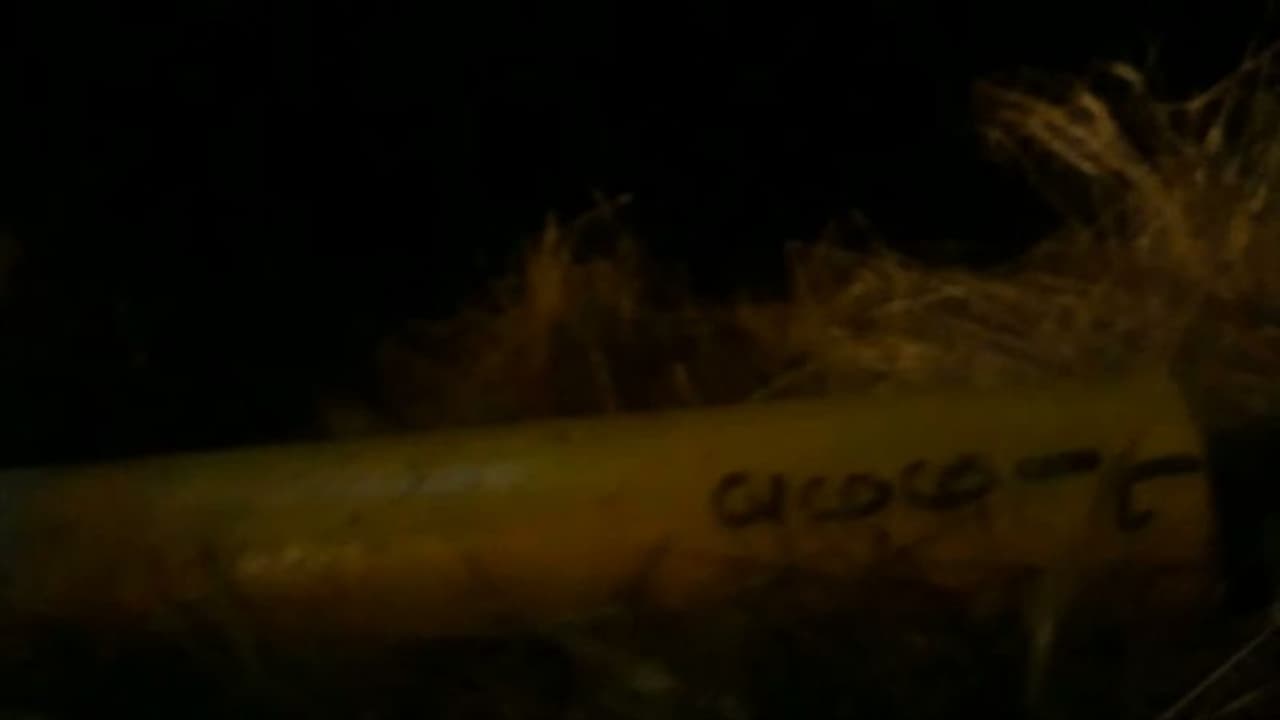 K Rail : മാടായിപ്പാറയിലെ കെ റെയിൽ അതിരടയാളക്കല്ല് പിഴുതുമാറ്റി; ഉത്തരവാദിയെ തേടി പൊലീസ് K Rail : മാടായിപ്പാറയിലെ കെ റെയിൽ അതിരടയാളക്കല്ല് പിഴുതുമാറ്റി; ഉത്തരവാദിയെ തേടി പൊലീസ്