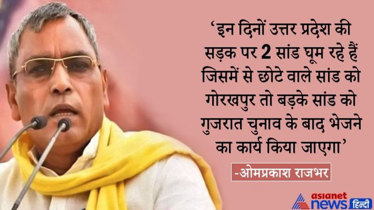 ओपी राजभर ने सांड से की मोदी योगी की तुलना, कहा BJP नेताओं को लाठी लेकर दौड़ा लीजिए