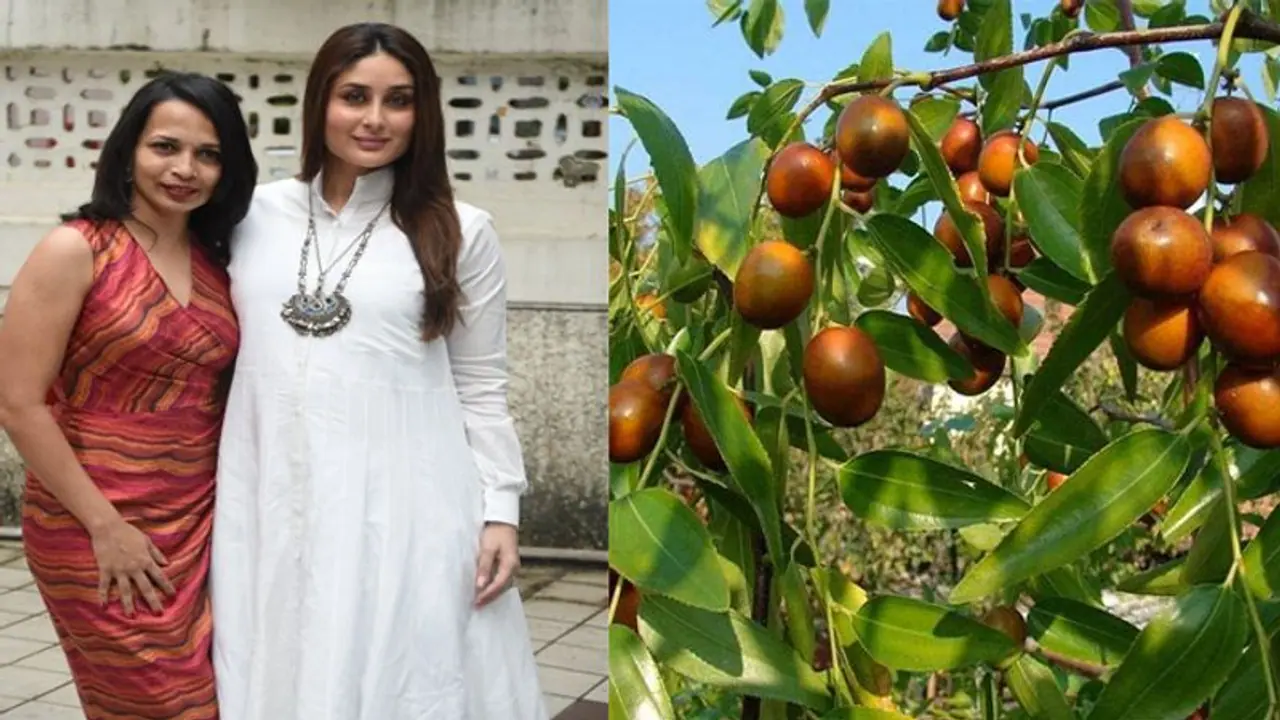 COVID 19: छोटे से बेर में छुपे है सेहत के कई राज, करीना कपूर की डायटीशियन ने बताएं इसके फायदे COVID 19: छोटे से बेर में छुपे है सेहत के कई राज, करीना कपूर की डायटीशियन ने बताएं इसके फायदे