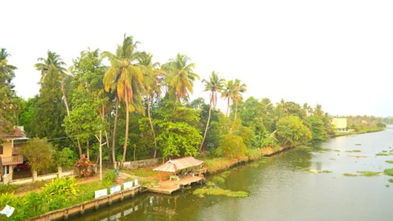 OYO Travelopedia : टूरिज्म के लिए 61 प्रतिशत भारतीयों की पहली पसंद गोवा, मनाली देश का दूसरा बेस्ट डेस्टिनेशन