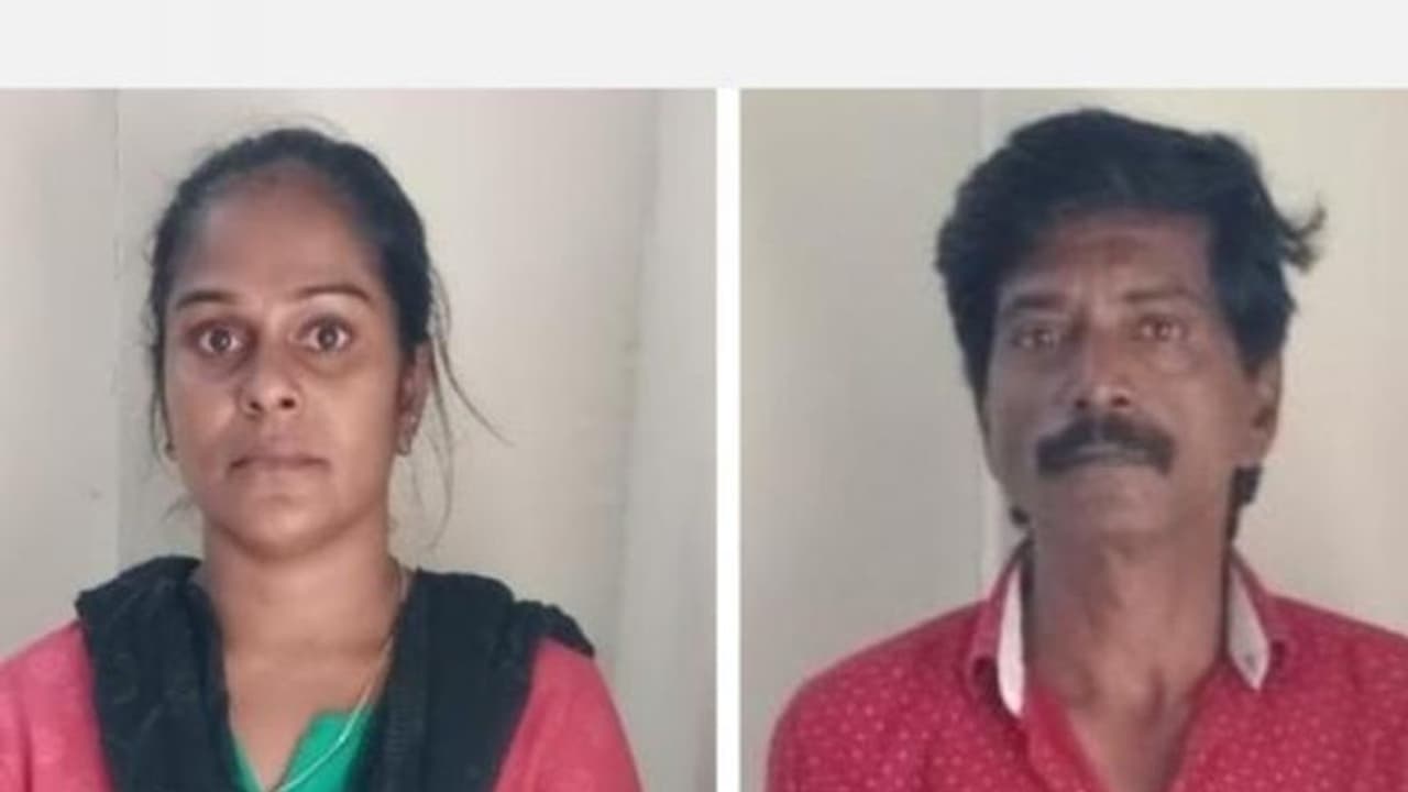 ரவுடி பேபி சூர்யா, சிக்கந்தர் அவ்ளோ ஆபசமாக பேசுனாங்க.. எங்களால் தாங்கவே முடியல..கண்ணீர் விட்ட தம்பதியினர் ரவுடி பேபி சூர்யா, சிக்கந்தர் அவ்ளோ ஆபசமாக பேசுனாங்க.. எங்களால் தாங்கவே முடியல..கண்ணீர் விட்ட தம்பதியினர்