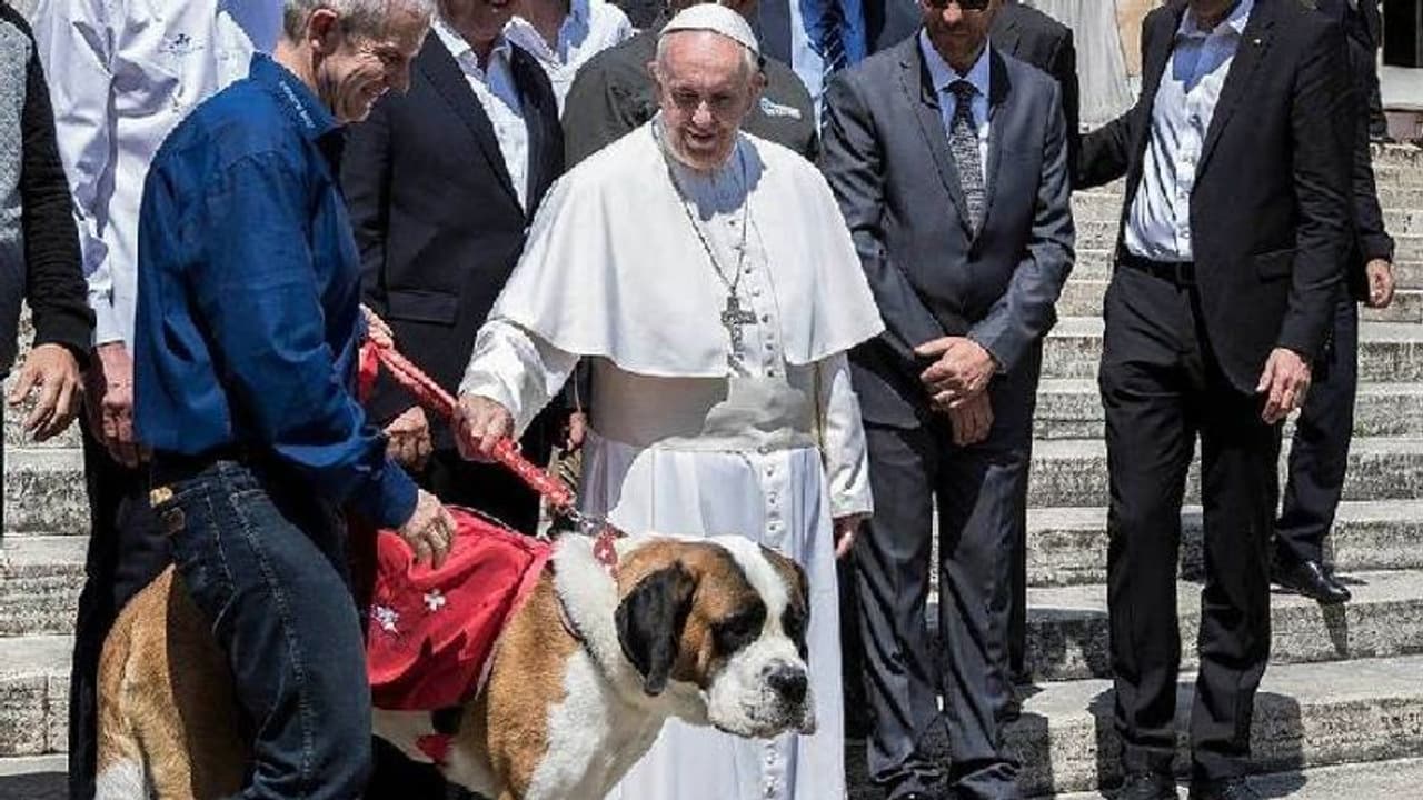 Pets over children : കുട്ടികള്‍ക്ക് പകരം 'പെറ്റി'നെ വളര്‍ത്തുന്നത് സ്വാര്‍ത്ഥതയാണ് എന്ന് ഫ്രാൻസിസ് മാർപ്പാപ്പ