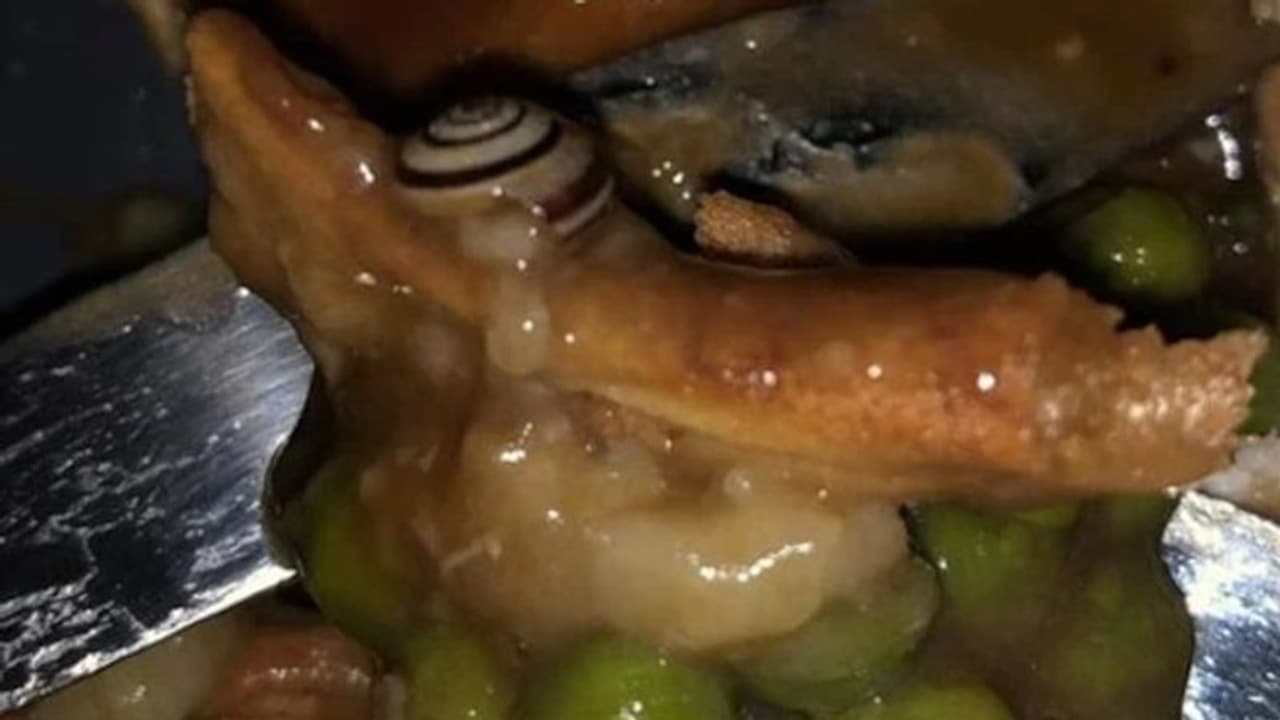 Viral Photo : 'ഓര്ഡര് ചെയ്ത ഭക്ഷണത്തില് ജീവനുള്ള ഒച്ച്'; വൈറലായി ചിത്രം Viral Photo : 'ഓര്ഡര് ചെയ്ത ഭക്ഷണത്തില് ജീവനുള്ള ഒച്ച്'; വൈറലായി ചിത്രം