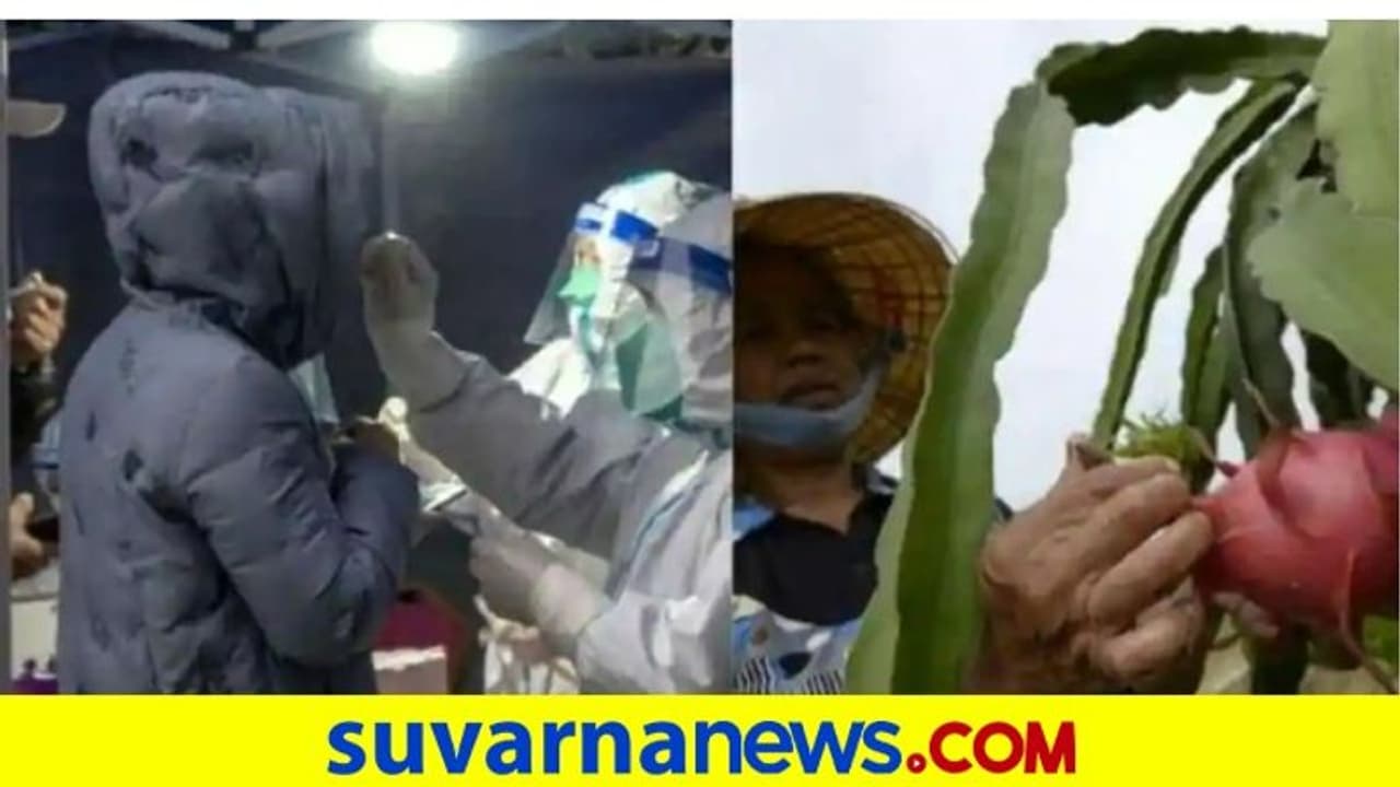 ಡ್ರ್ಯಾಗನ್‌ಫ್ರುಟ್‌ನಲ್ಲಿ ವೈರಸ್‌: ಸೂಪರ್‌ ಮಾರ್ಕೆಟ್ ಬಂದ್ ಮಾಡಿದ ಚೀನಾ