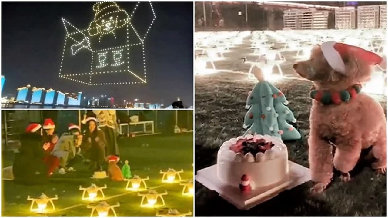 പട്ടിയുടെ പിറന്നാളാഘോഷത്തിന് 520 ഡ്രോണുകള്, ചെലവ് 11 ലക്ഷം, ഒടുവില് യുവതിക്ക് എട്ടിന്റെ പണി! പട്ടിയുടെ പിറന്നാളാഘോഷത്തിന് 520 ഡ്രോണുകള്, ചെലവ് 11 ലക്ഷം, ഒടുവില് യുവതിക്ക് എട്ടിന്റെ പണി!