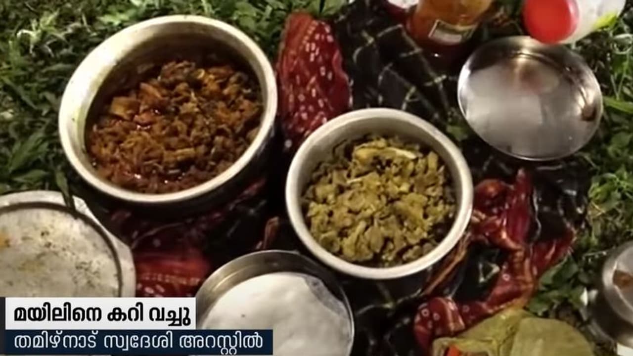 മയിലിനെ പിടികൂടി കൊന്ന് കറിവെച്ചു; ഒരാൾ അറസ്റ്റിൽ, രണ്ട് പേർ രക്ഷപ്പെട്ടു മയിലിനെ പിടികൂടി കൊന്ന് കറിവെച്ചു; ഒരാൾ അറസ്റ്റിൽ, രണ്ട് പേർ രക്ഷപ്പെട്ടു