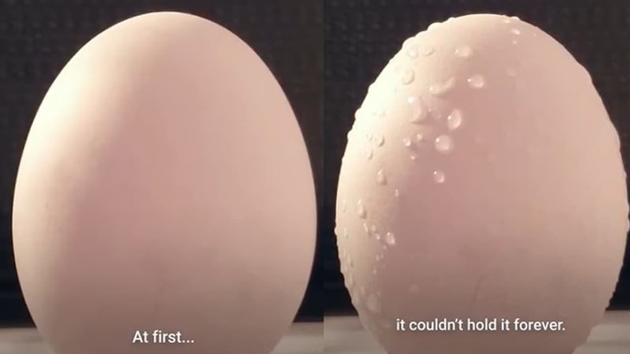 Viral Video : മൈക്രോവേവിനകത്ത് വെറുതെ മുട്ട വച്ചാല്‍ എന്ത് സംഭവിക്കും?; രസകരമായ വീഡിയോ