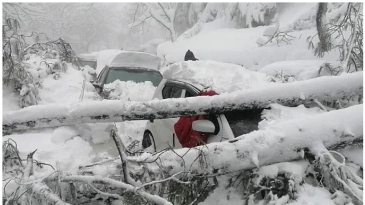 Vehicles Trapped in Snowstorm : മഞ്ഞുവീഴ്ചയില് വാഹനങ്ങള് കുടുങ്ങി; പാകിസ്ഥാനില് കുട്ടികളടക്കം 21 മരണം Vehicles Trapped in Snowstorm : മഞ്ഞുവീഴ്ചയില് വാഹനങ്ങള് കുടുങ്ങി; പാകിസ്ഥാനില് കുട്ടികളടക്കം 21 മരണം