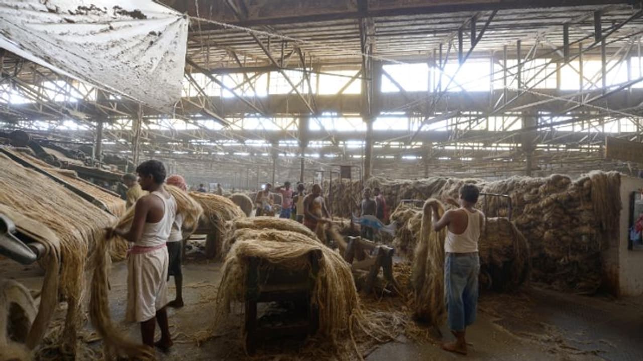 Jute Corporation of India Recruitment 2022 উচ্চমাধ্যমিক পাশেই মিলবে চাকরী Jute Corporation of India Recruitment 2022 উচ্চমাধ্যমিক পাশেই মিলবে চাকরী