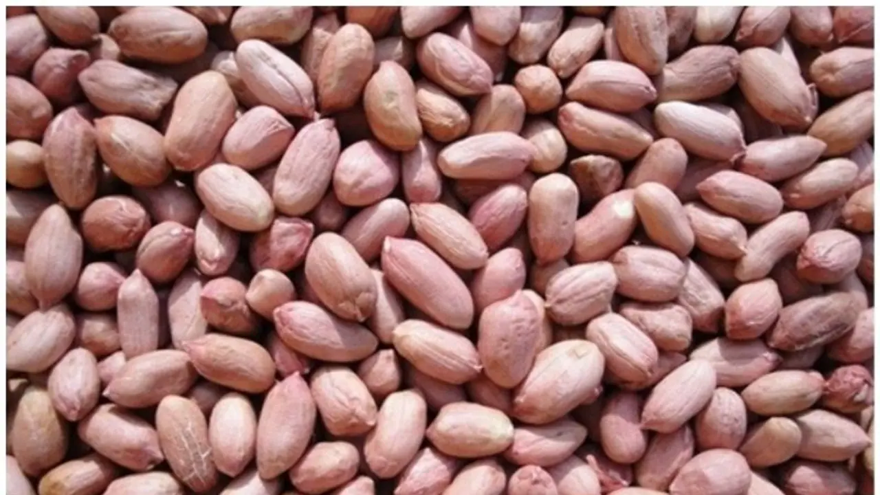 കപ്പലണ്ടി കഴിക്കുന്നത് വണ്ണം കൂട്ടുമോ അതോ കുറയ്ക്കുമോ? 