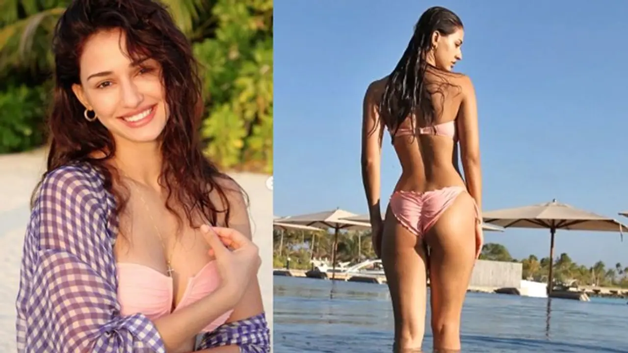 Disha Patani ने बिकिनी में दिखाई टोंड बॉडी तो खुद को कमेंट करने से नहीं रोक पाए Tiger shroff, कही ये बात Disha Patani ने बिकिनी में दिखाई टोंड बॉडी तो खुद को कमेंट करने से नहीं रोक पाए Tiger shroff, कही ये बात