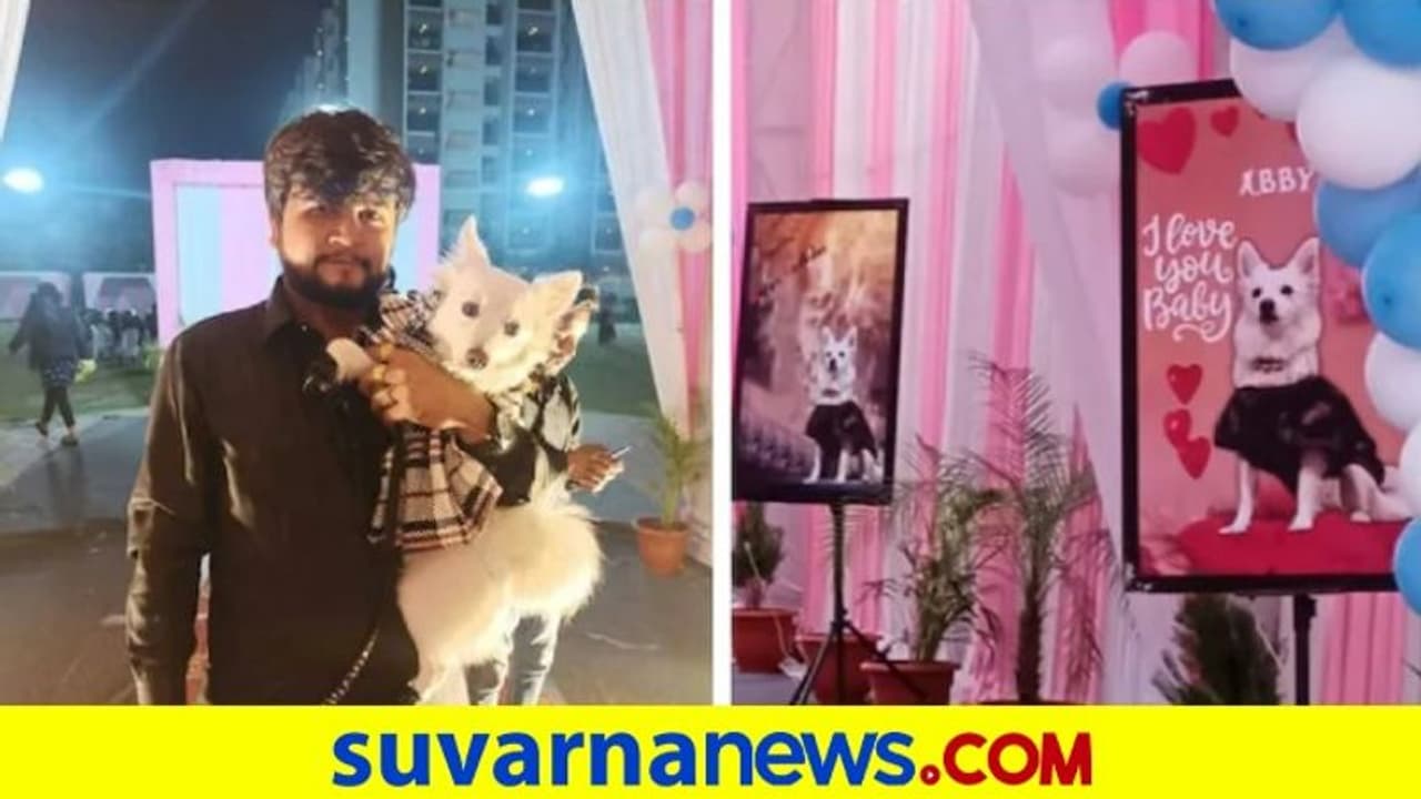 ಪ್ರೀತಿಯ ಶ್ವಾನದ ಬರ್ತ್‌ಡೇಗೆ ಅದ್ದೂರಿ ಪಾರ್ಟಿ... ಯುವಕ ಖರ್ಚು ಮಾಡಿದ್ದು ಎಷ್ಟು ಲಕ್ಷ...?