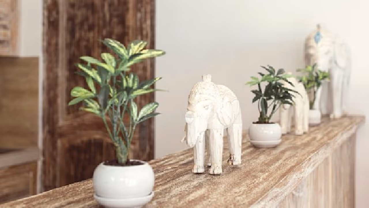 Vastu Tips: ಈ ವಿಗ್ರಹಗಳನ್ನು ಮನೆಯಲ್ಲಿಟ್ಟರೆ ಅದೃಷ್ಟ ಕುಲಾಯಿಸಲಿದೆ..