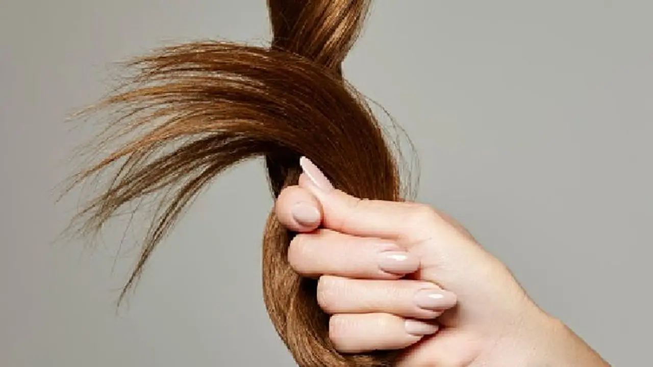 Koppal: ಕಚ್ಚಾ ಕೂದಲು ರಫ್ತಿಗೆ ನಿರ್ಬಂಧ: ಜಗತ್ತಿಗೆ ಭಾರತದ್ದೇ ಸಿಂಹಪಾಲು..! Koppal: ಕಚ್ಚಾ ಕೂದಲು ರಫ್ತಿಗೆ ನಿರ್ಬಂಧ: ಜಗತ್ತಿಗೆ ಭಾರತದ್ದೇ ಸಿಂಹಪಾಲು..!