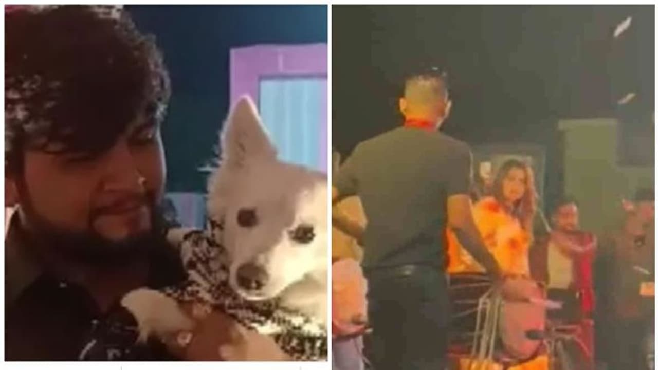 dog birthday : 'ഗാനമേള, ഡാന്സ്'; ലക്ഷങ്ങള് പൊടിച്ച് നായ്ക്കുട്ടിയുടെ ജന്മദിനാഘോഷം, യുവാക്കള് അറസ്റ്റില് dog birthday : 'ഗാനമേള, ഡാന്സ്'; ലക്ഷങ്ങള് പൊടിച്ച് നായ്ക്കുട്ടിയുടെ ജന്മദിനാഘോഷം, യുവാക്കള് അറസ്റ്റില്