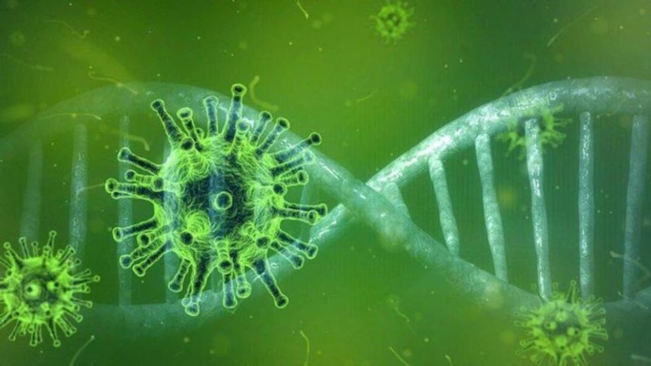 Deltacron : ഡെൽറ്റ, ഒമിക്രോൺ വകഭേദങ്ങൾ ചേർന്ന 'ഡെൽറ്റക്രോൺ' സ്ഥിരീകരിച്ചതായി റിപ്പോർട്ട് Deltacron : ഡെൽറ്റ, ഒമിക്രോൺ വകഭേദങ്ങൾ ചേർന്ന 'ഡെൽറ്റക്രോൺ' സ്ഥിരീകരിച്ചതായി റിപ്പോർട്ട്