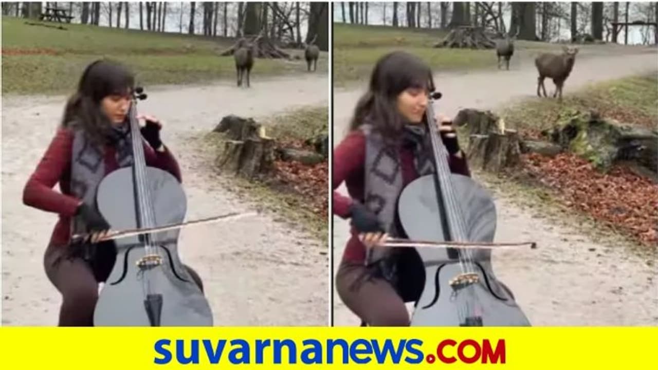 ಪಾರ್ಕಿನಲ್ಲಿ ಗಿಟಾರ್ ನುಡಿಸುವ ಹುಡುಗಿ, ಜಿಂಕೆಗಳು ಬರುತ್ತವೆ ಓಡೋಡಿ