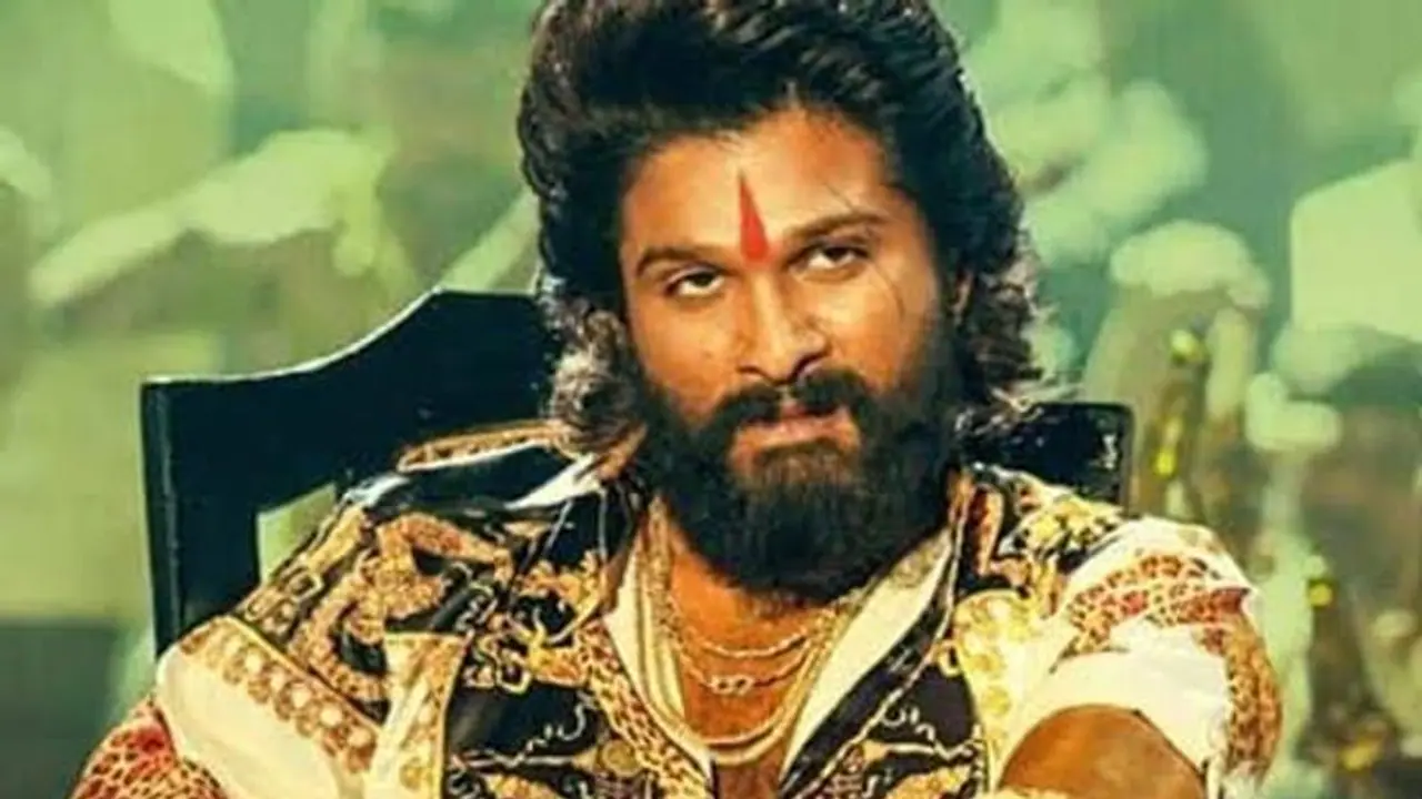 Pushpa Box Office : ബോക്‌സ് ഓഫീസ് കീഴടക്കി അല്ലുവിന്റെ 'പുഷ്പ'; 100 കോടി കടന്ന് ഹിന്ദി പതിപ്പ്