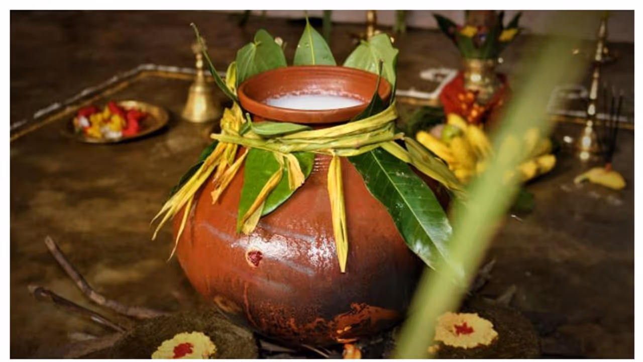 தித்திக்கும் பொங்கல் திருநாள் வந்தாச்சு! கும்மி, மஞ்சுவிரட்டு, செங்கரும்பின் மகத்துவம் அறிக...