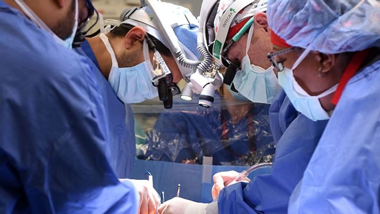 మనవాళ్లే కాదండోయ్.. బ్రెజిల్ డాక్టర్లూ అంతే.. రాజకీయ నాయకుడి కడుపులో కత్తెర పెట్టి కుట్లేశారు..6 రోజుల తర్వాత మనవాళ్లే కాదండోయ్.. బ్రెజిల్ డాక్టర్లూ అంతే.. రాజకీయ నాయకుడి కడుపులో కత్తెర పెట్టి కుట్లేశారు..6 రోజుల తర్వాత